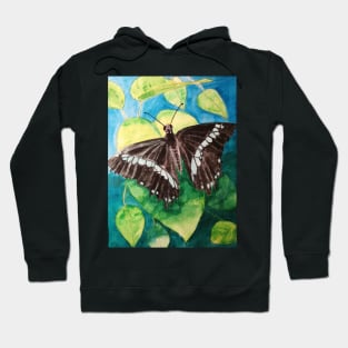 Turquoise and black butterfly watercolour painting Hoodie